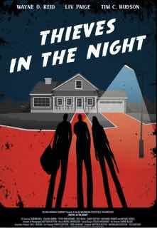 Воры в ночи